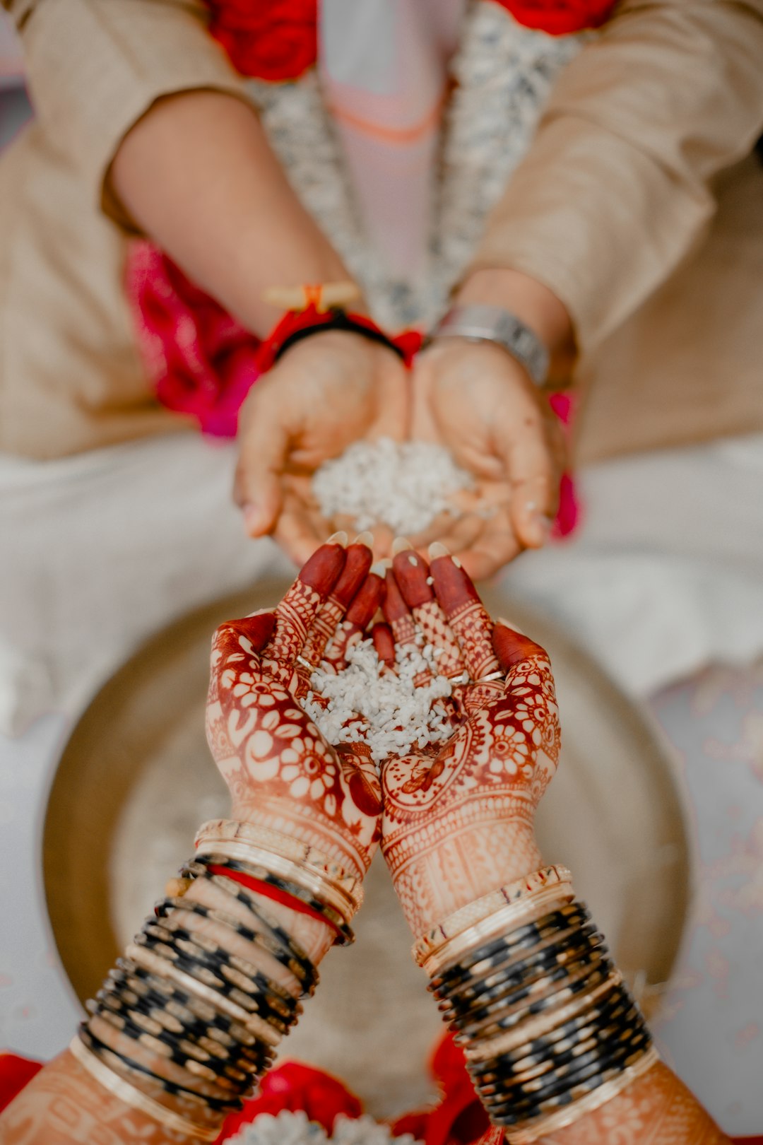 Anaya & Rohit 8