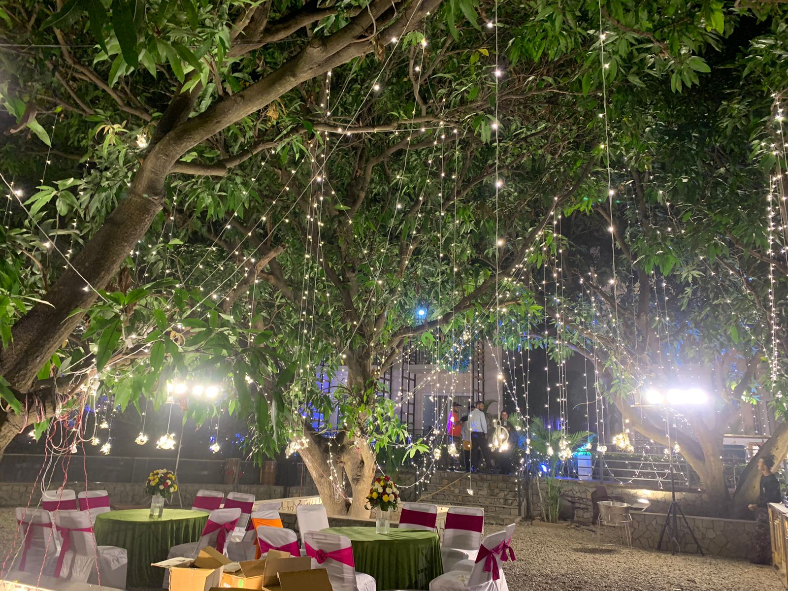 The Tiger Groove Resort 4